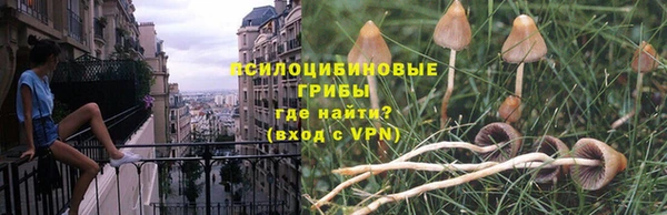 бутират Алексин
