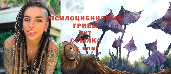СК Алзамай