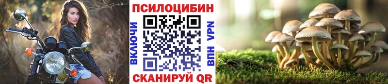 Псилоцибиновые грибы GOLDEN TEACHER  Красный Кут 